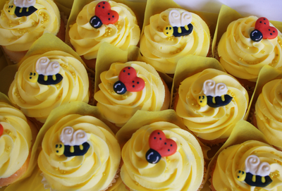 Honey Bee Cupcakes