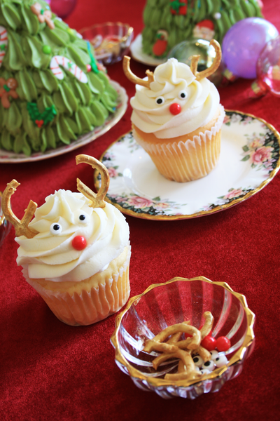 DIY Christmas Cupcake Kit