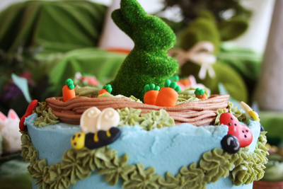 McGregor's Garden Cake