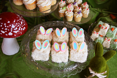 Bunny Lamingtons